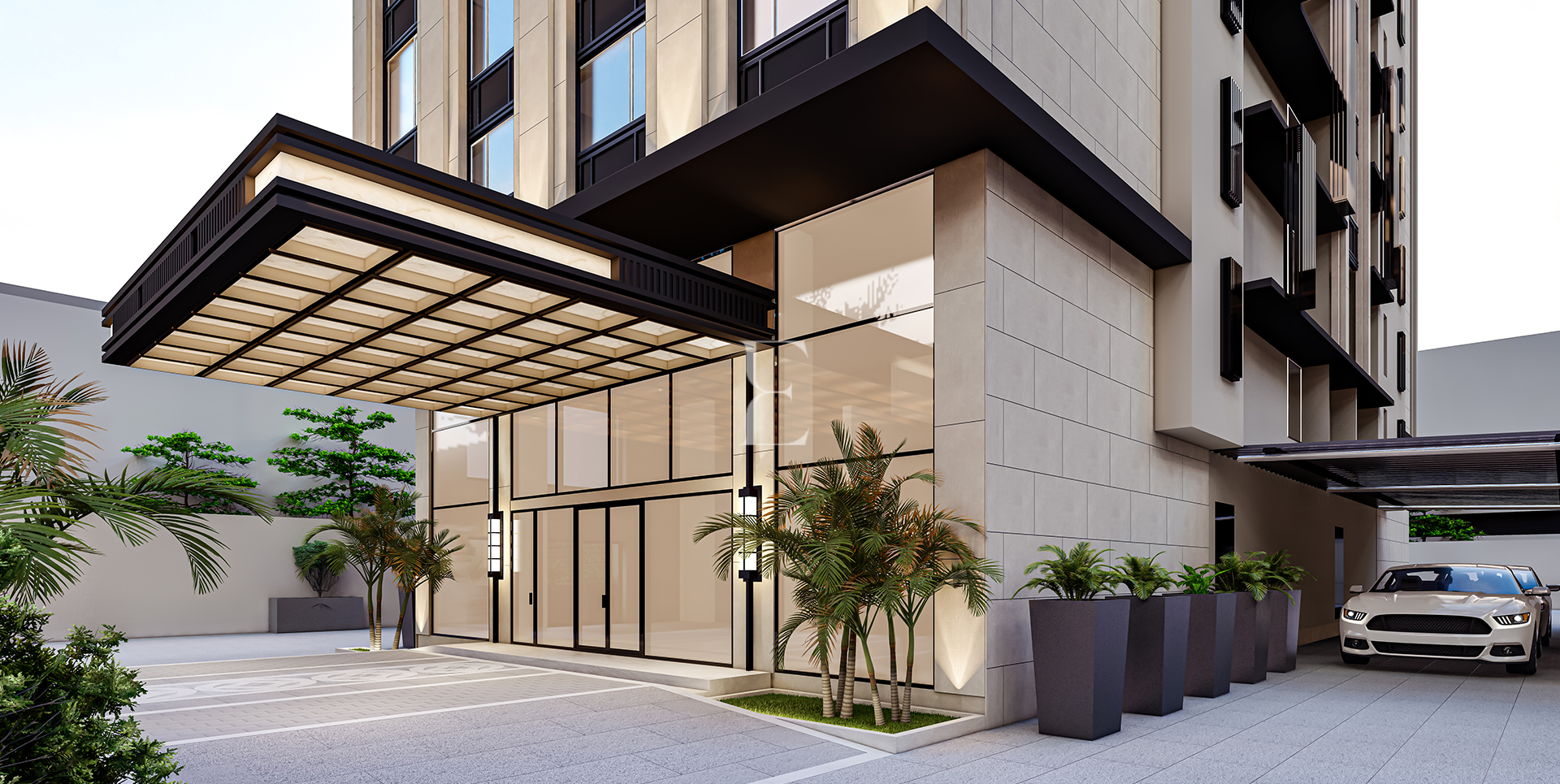 canopy- Photo@1.5x@1.5x_edited_resized